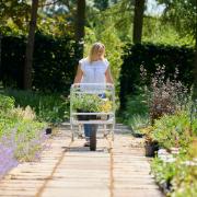 Do you have a favourite garden centre around Watford?