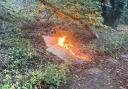 The fire was seen in the woodland by Prestwick Road in South Oxhey.