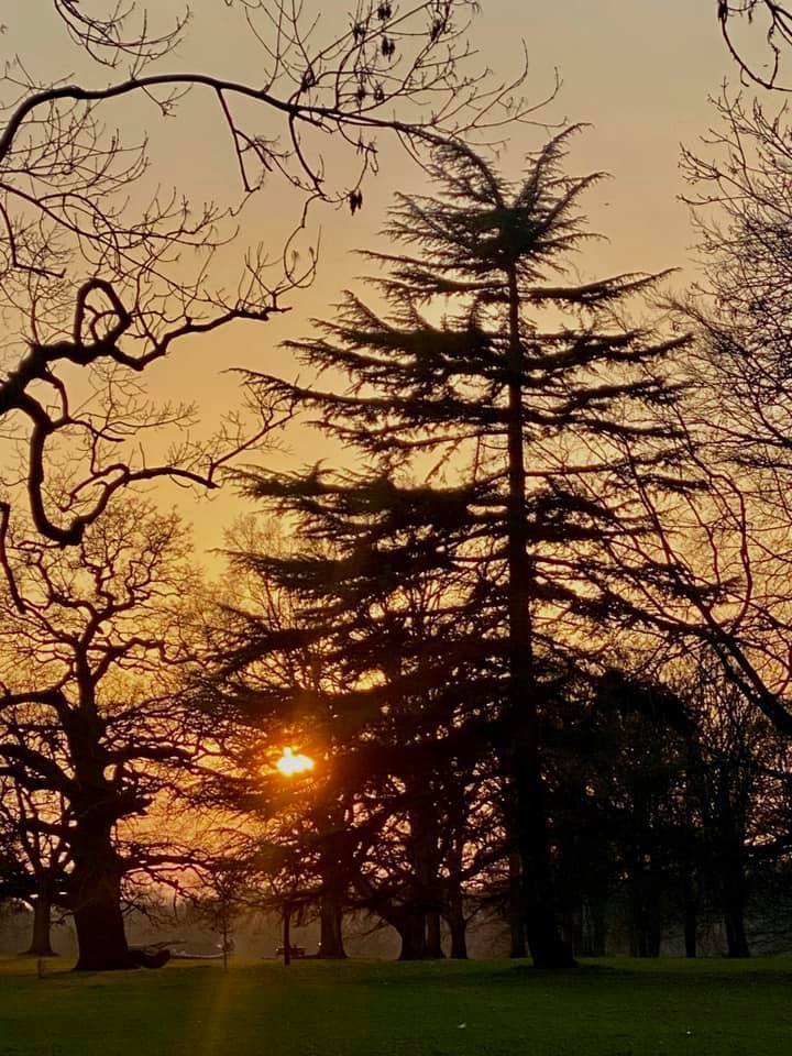 Sunset at Cassiobury Park. Credit: Hema Kachela