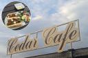Is the Cedar Cafe worth a visit this spring?
