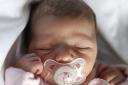 A gallery of babies born at Watford General Hospital in August