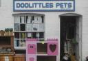 Doolittles Pets