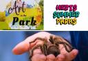 Low cost summer holiday events for local families