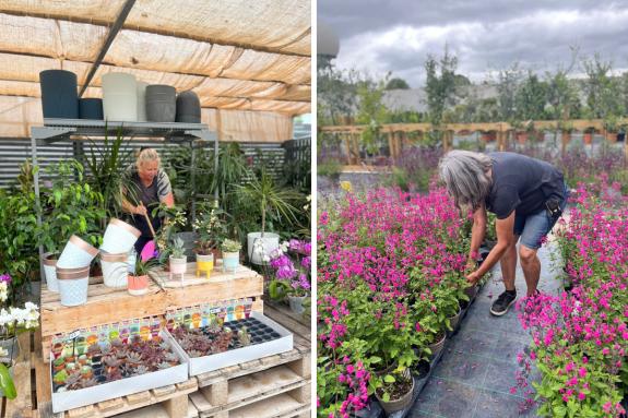 Watford Observer: The nursery has bounced back after losing 75 per cent of its stock during the pandemic. Watford Observer: The nursery has bounced back after losing 75 per cent of its stock during the pandemic.