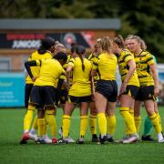 Disappointment - Watford were beaten by Blackburn in the FA Women's Championship Picture: ANDREW WALLER