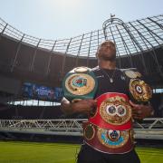 Anthony Joshua will fight Oleksandr Usyk in London next month. Picture: Mark Robinson Matchroom Boxing