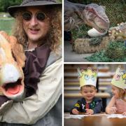 Dinosaurs are at Willows Activity Farm. Picture: Willows Activity Farm