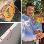 Left: Slugs have appeared in the couple's kitchen and even on a loaf of bread. Right: Gabriel and Rebeica Lungu with their daughter.