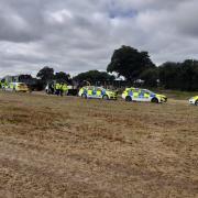 Image from the operation shared by Herts Police