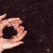 The compost will be available on a first-come, first-served basis