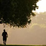 Adults in Watford have above average levels of physical activity