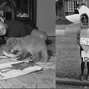Flashback to May 1967 - Foxes, eggs, baths and ballet. 13 great images.