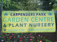 see and surf carpenders park garden nursery