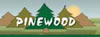 see and surf logo pinewood