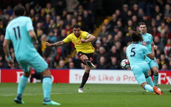Watford Observer: Watford Observer: