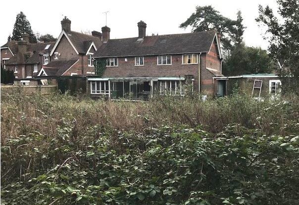 The garden of Little Stratford House has become overgrown. Credit: Network Auctions