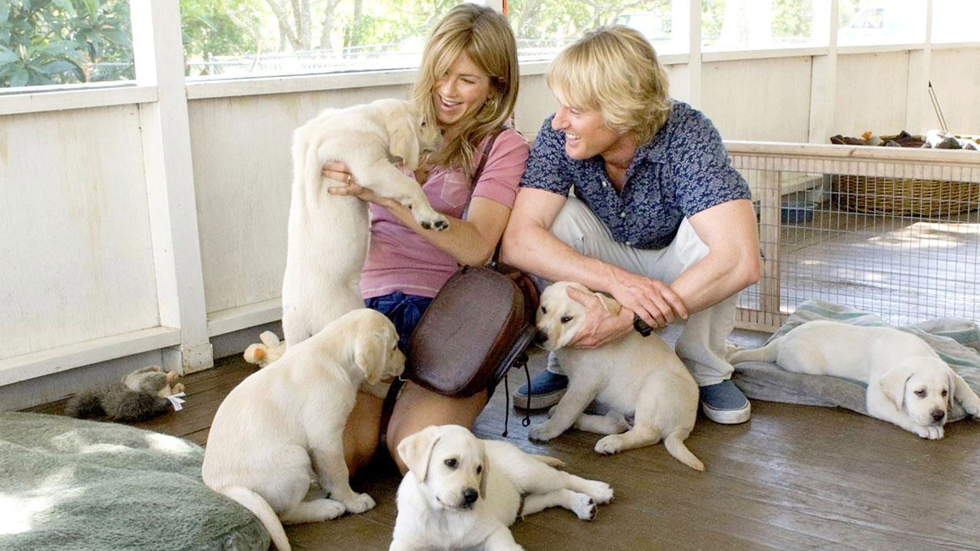 Jennifer Aniston, pictured here in hollywood flick Marley and Me, was recruited to Watford fandom by Radio 1 DJ Chris Stark. Photo: PA