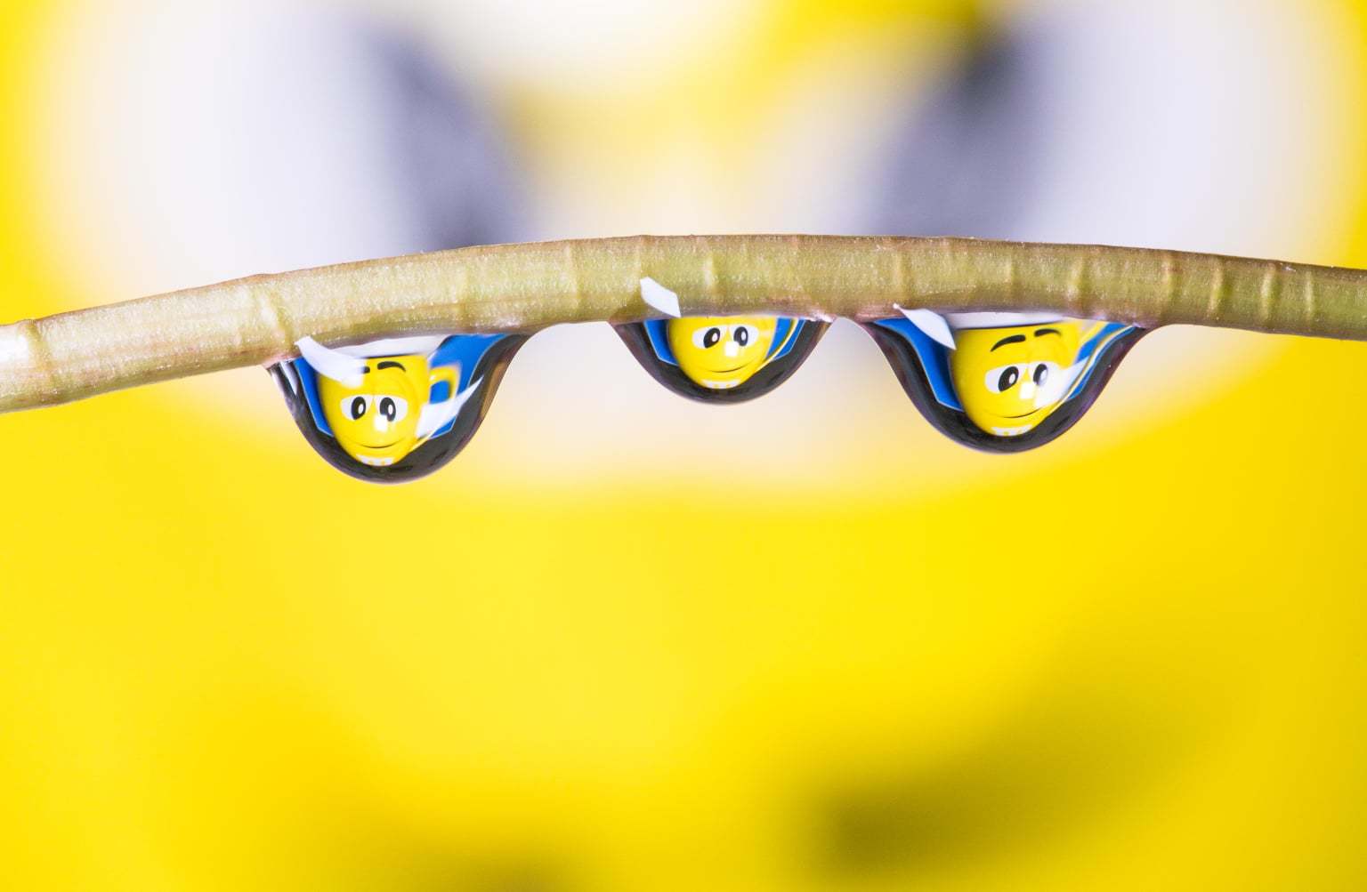 Waterdrops in front of a yellow mug. Picture: Chris Read