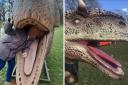 Some dinosaurs at Jurassic Encounter in Cassiobury Park had missing teeth.