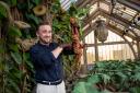 Tom Felton unveils Professor Sprout’s greenhouse, part of the new Mandrakes and Magical Creatures feature opening at Warner Bros. Studio Tour London 1st July. (Warner Bros. Studio)