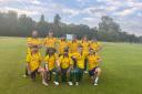West Herts will be able top-flight cricket again next season