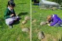 Students at York House have been learning with tortoises