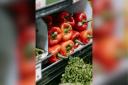 Community fridge initiative in Saffron Walden to tackle food wastage