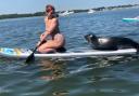 Cheeky seal hitches ride on paddle board - what to do if you are approached. (Daily Echo)