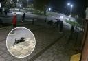 CCTV captures the Tommy silhouette being damaged on the Kingswood estate in Watford on Friday night.