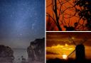 Three of the final selection of 'light and dark' pictures taken by our camera club members