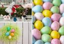 There are many Easter activities in and near Watford.