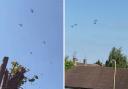 Helicopters, believed to be Chinooks, were seen over Chorleywood (left) and South Oxhey (right).