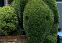 The hedge shaped as an elephant was dubbed 'Africa garden' by Jane Hooper