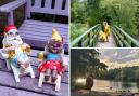 Three of this week's final selection of 'summer fun' pictures