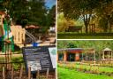 Cassiobury Park, Oxhey Park and Oxhey Activity Park were nominated in the UK top 10 last year