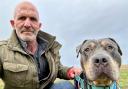 New owner Jay with XL Bully Coco who has been rehomed