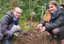 Holy Rood Primary School pupils planting trees