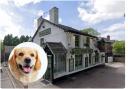 The Royal Oak has water bowls in the garden and treats behind the bar for your four-legged friends.