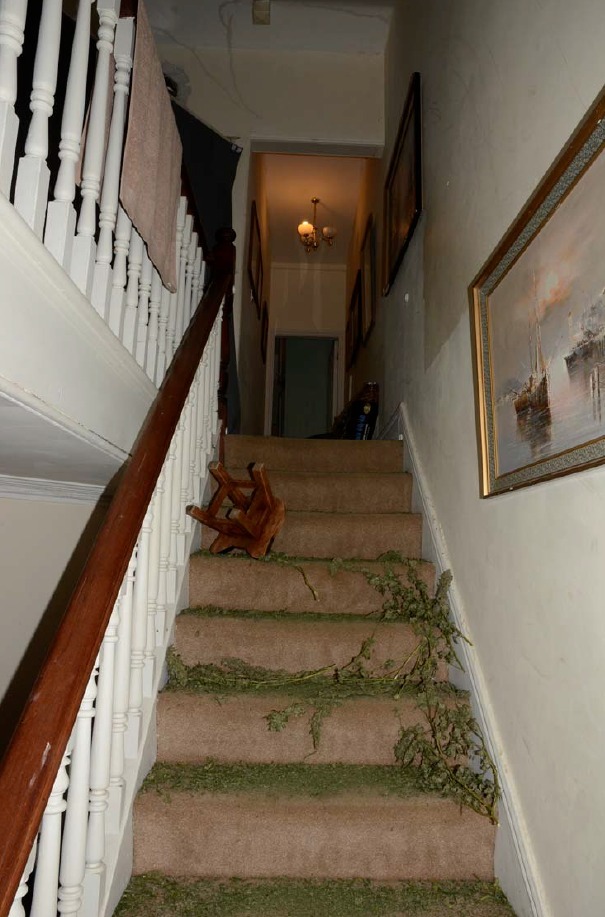Cannabis debris left at the stairs in Alexandra Road Photo: North Yorks Police