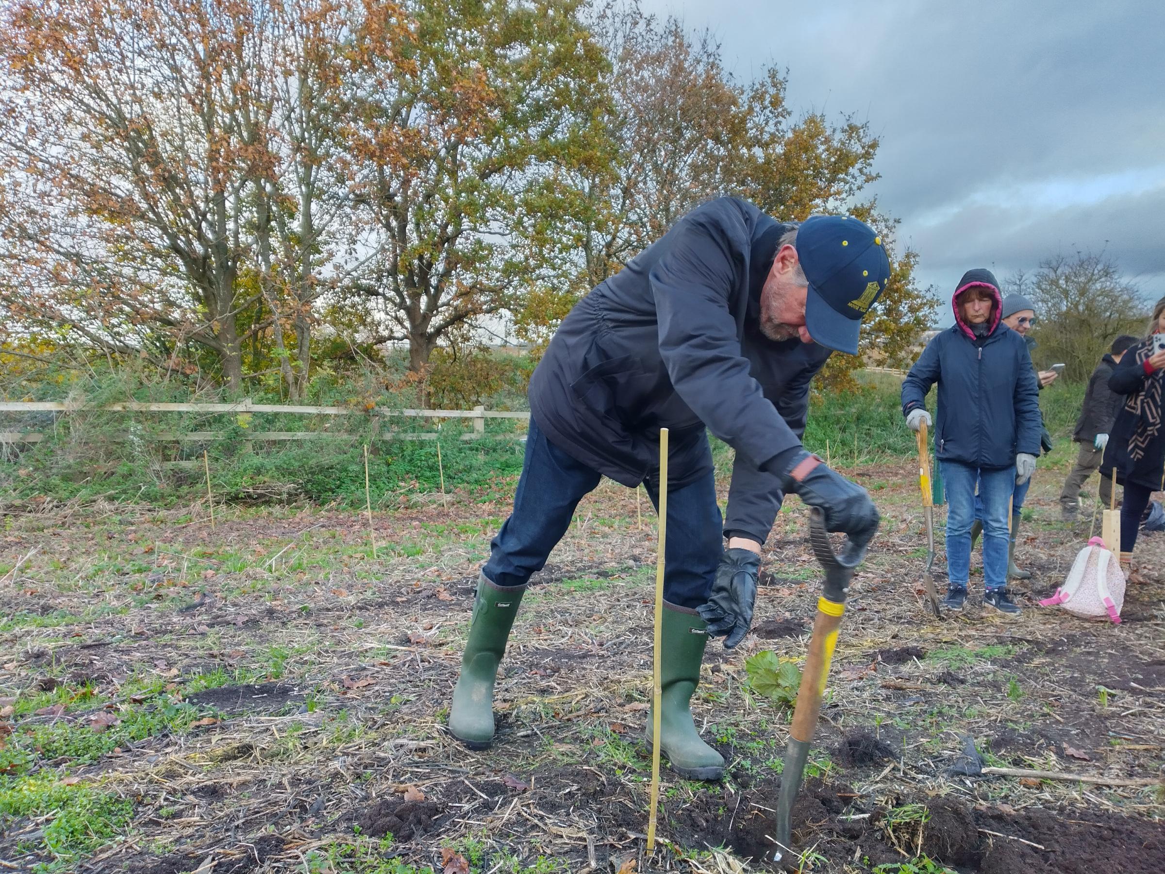 Watford's Feeding our Future project plants 400 new trees - Vimarsana News