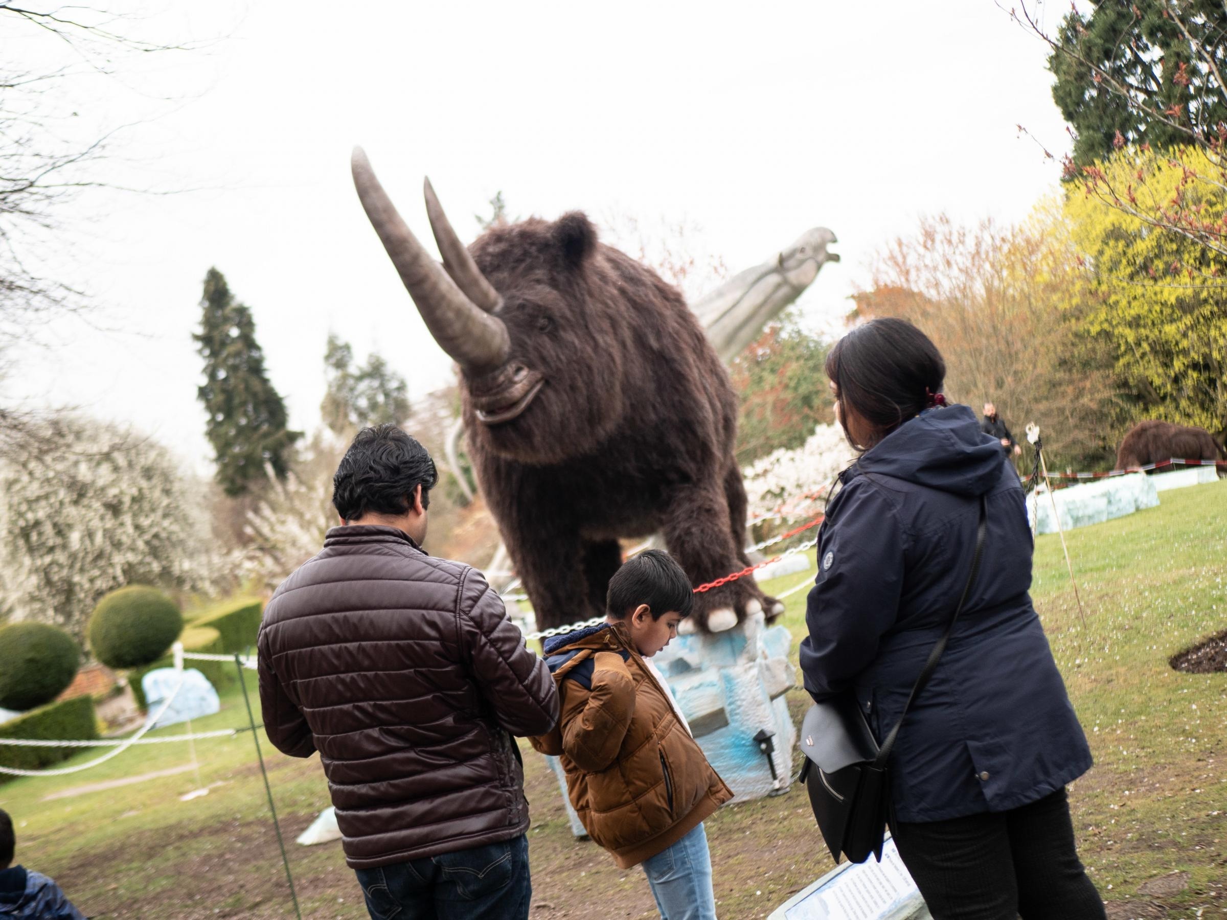 A Woolly Rhino that would have been on display