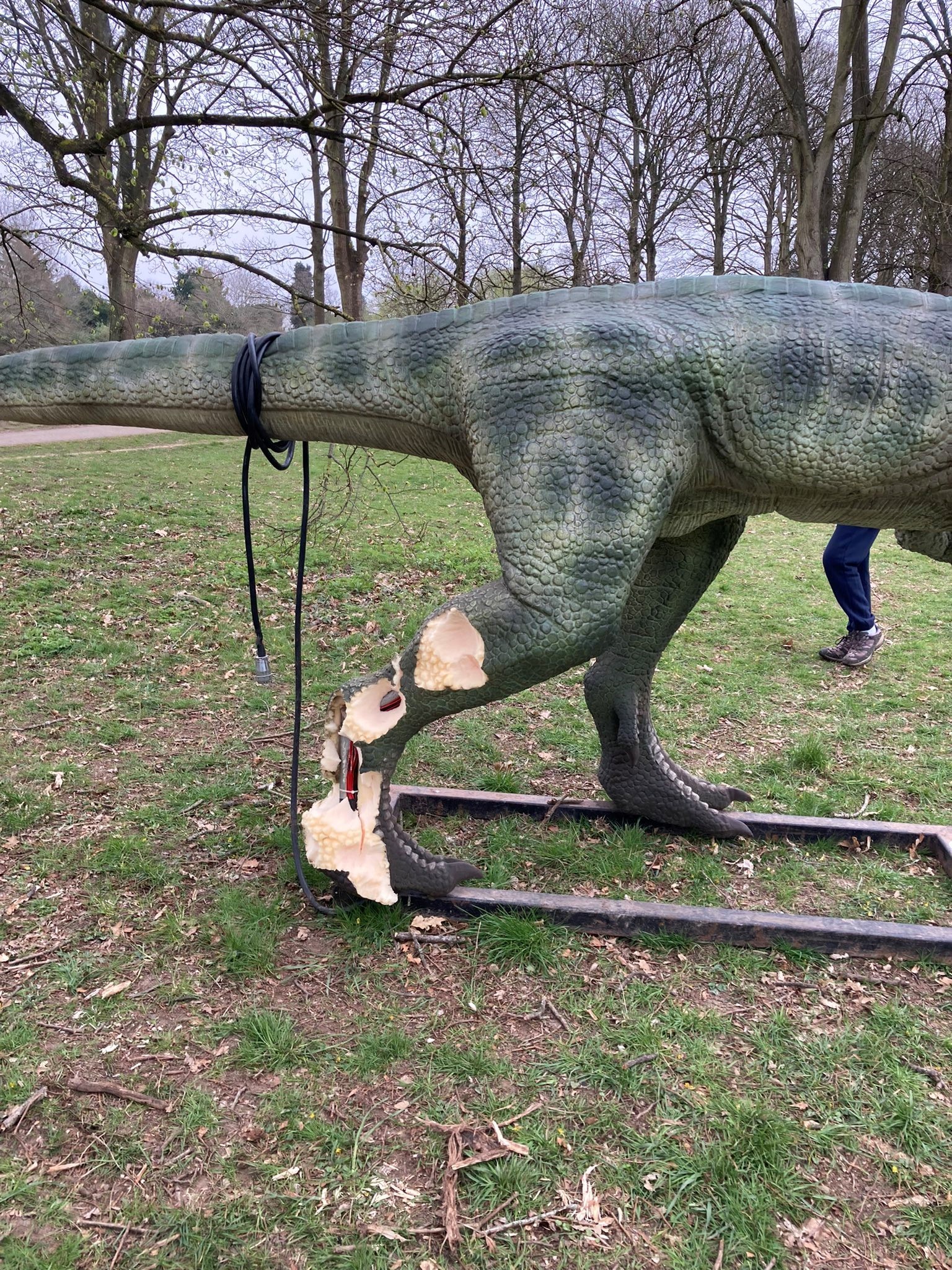 A dinosaur before the exhibition opened