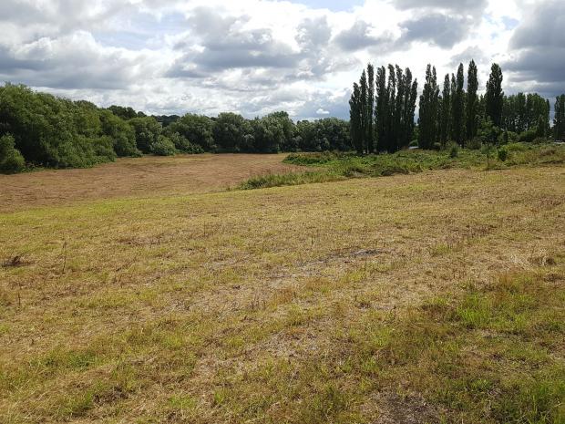 Watford Observer: Land at Rectory Farm under threat from development. Credit: Green Belt Matters