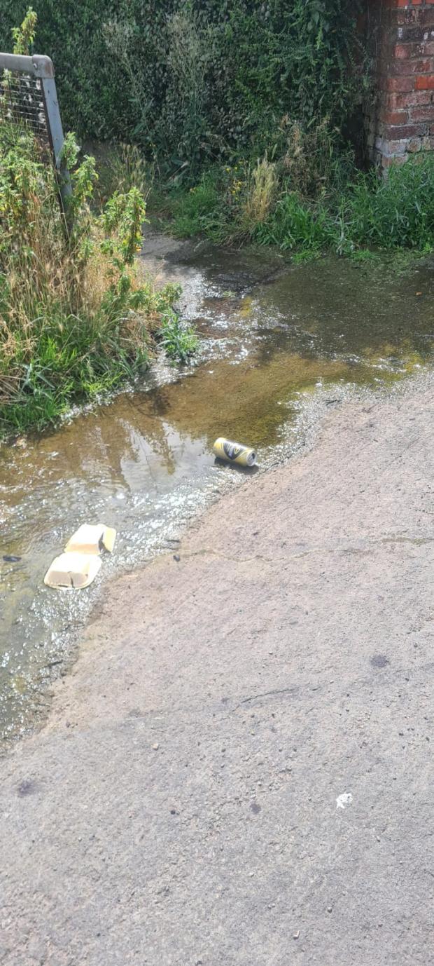 Watford Observer: The leak across the footpath