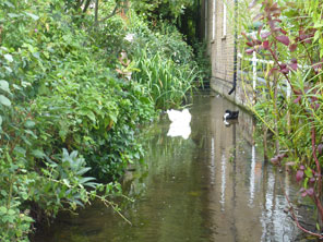 Watford Observer: The Rickmansworth waterway once known as The Town Ditch.