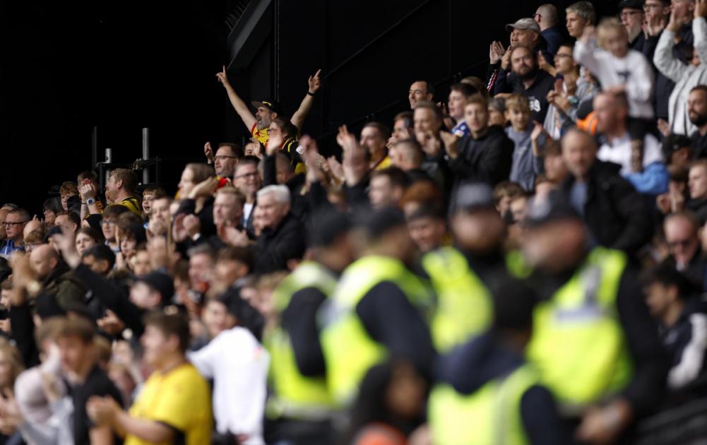 Watford fans want involvement, transparency, less toxicity