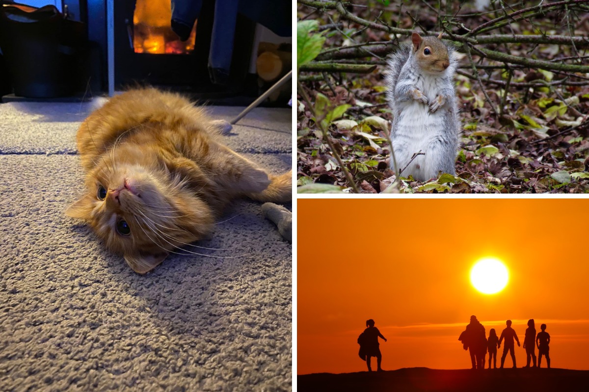 Pictures: Wildlife, pets and people preparing for winter - Vimarsana News