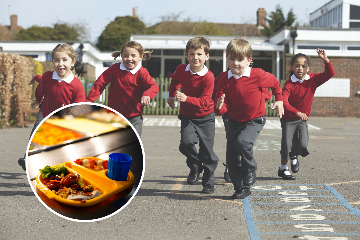 Food hygiene ratings for schools in and around Watford - Vimarsana News