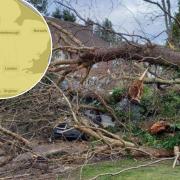 Warning of more 'very strong' winds potentially tearing trees down