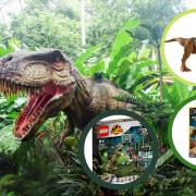 ( Background) A dinosaur in the jungle ( Canva) (Circles) Dinosaur toys and sets from Bargain Max and LEGO